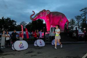 BIB: 
                            <button type="button" onclick="openModal(26529741)" class="btn btn-primary btn-sm float-right btn-popup" data-toggle="modal" data-target=".modal-high-quality">
                        <i class="fas fa-shopping-cart"></i> Add to Cart
                    </button>
                                            <button type="button" onclick="isThisMe(26529741, true)" class="btn btn-success btn-sm float-right btn-popup btn-isme hidden" data-toggle="tooltip" data-placement="bottom" title="นี่คือรูปของคุณใช่ไหม คลิกที่นี่เพื่อเอาเข้าอัลบั้ม">
                        <i class="fas fa-plus"></i> Add to album
                    </button>
                    <button type="button" onclick="isThisMe(26529741, false)" class="btn btn-warning btn-sm float-right btn-popup btn-isnotme hidden">
                        <i class="fas fa-ban"></i> Remove from album
                    </button>